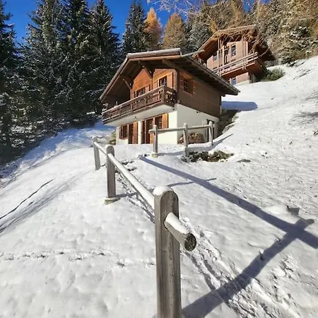 Cosy Ski Chalet In 格里门茨